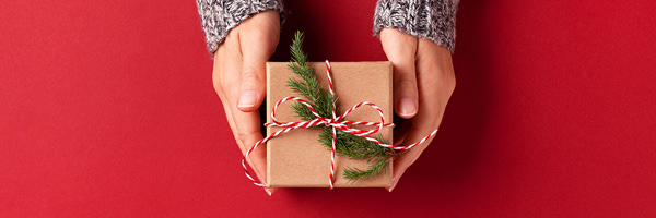 Hands holding holiday gift