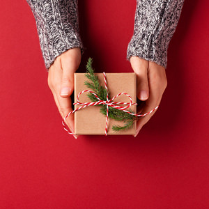 Holiday Wish Program