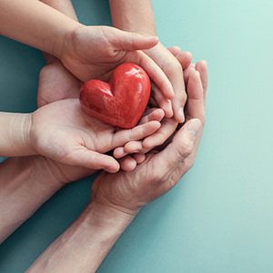 Hands Holding Heart Hands Holding Heart